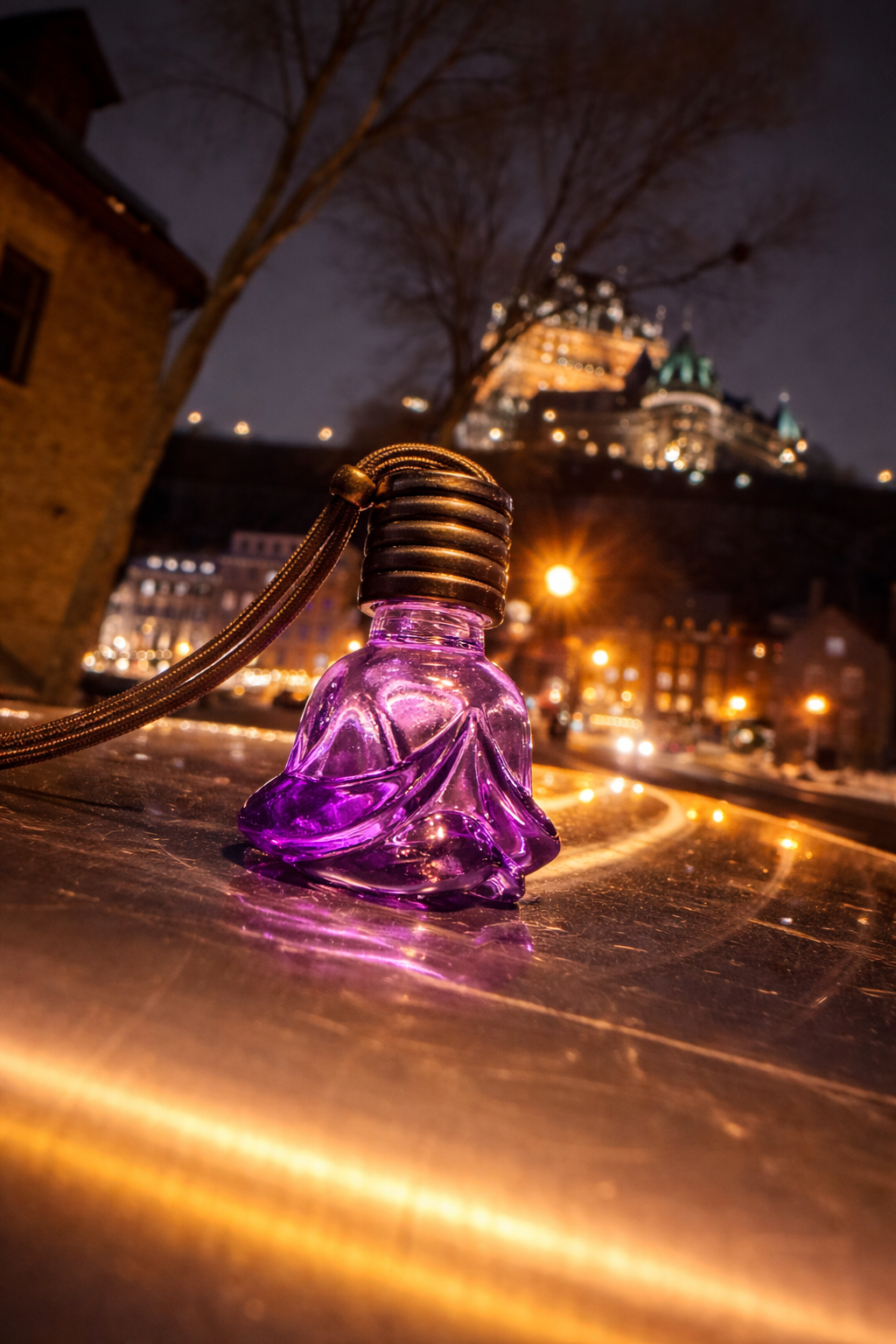 Midnight Bloom